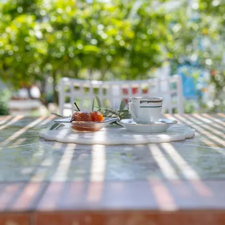 Perivoli 1-chora Feriehus Agkidia