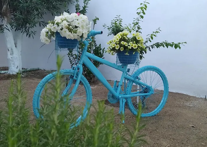 Perivoli 1-chora Agkidia