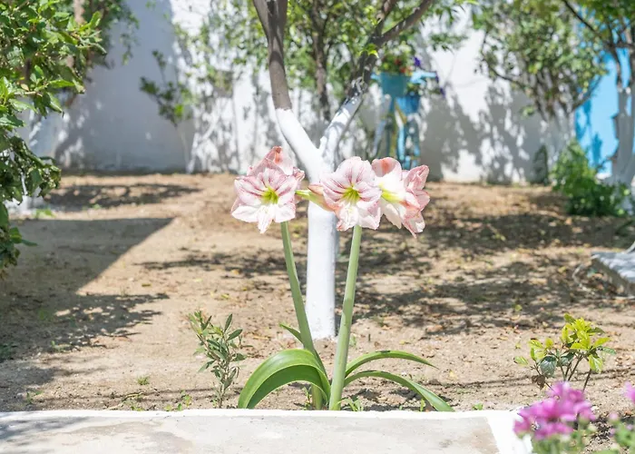 Perivoli 1-chora Feriehus Agkidia