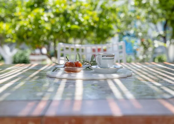 Perivoli 1-chora Vakantiehuis Agkidia