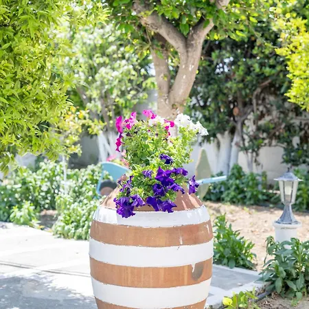 Perivoli 1-chora * Agkidia