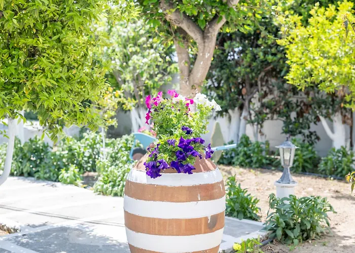 Perivoli 1-chora * Αγγίδια